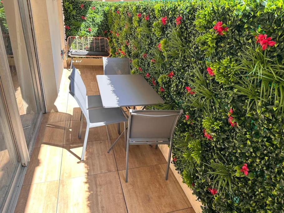 Charmant 2 Pieces Appartement Antibes